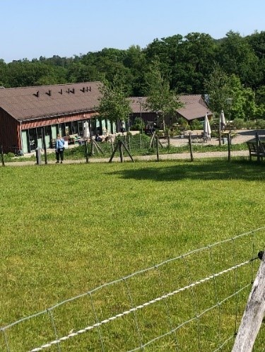 Eindruck vom Hof