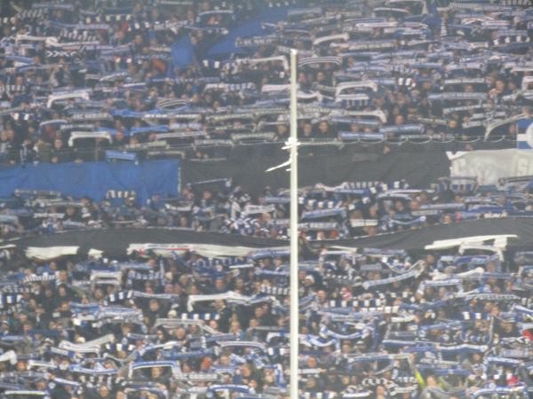 Fans in der Fankurve